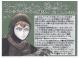 サー・ガウェインと緑の騎士 : トールキンのアーサー王物語